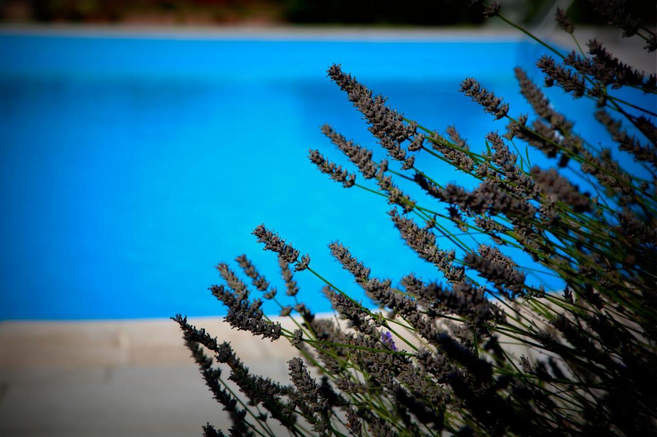 Agriturismo Girolomoni Isola del Piano Exterior foto